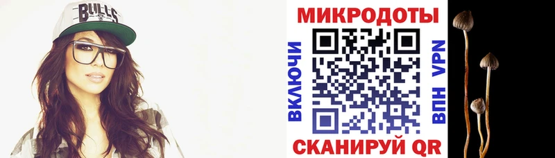 Купить  Учалы  Псилоцибиновые грибы Psilocybine cubensis 